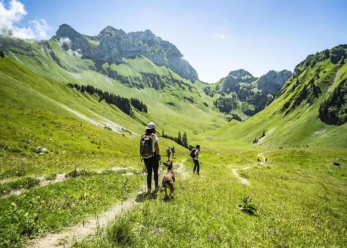 Corina For 5 People Apartmán Châtel